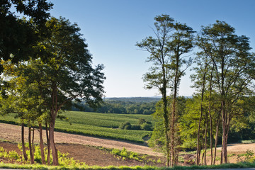Bourrouillan (Gers)