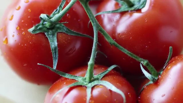 CU TU Studio shot of red tomatoes