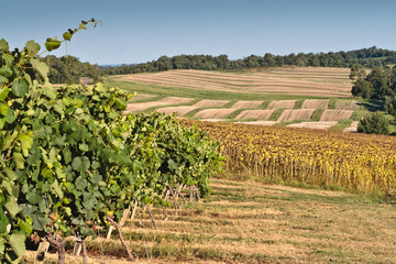 Bourrouillan (Gers)