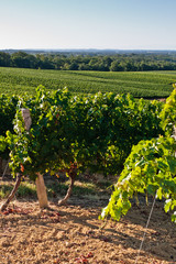 Bourrouillan (Gers)