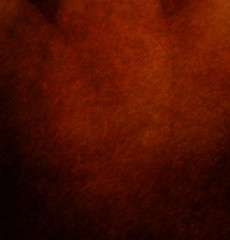 Fototapeta premium paper texture, may use as background