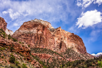 Fototapeta na wymiar Zion Canyon National Park Utah