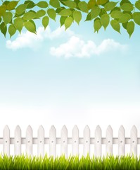 Nature background with green_leaves and white french. Vector.