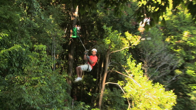 two people passing each other on zip lines through the trees