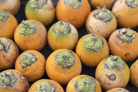 Ripe areca nuts
