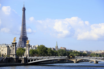 Fototapeta na wymiar Eiffel Tower paris france landscape view over the river seine with alexander bridge pont alexandre photo