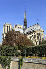 Fototapeta na wymiar Notre Dame cathedral Paris France scene from River Seine photo vertical