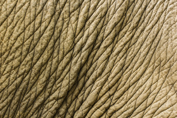 Image of elephant skin background