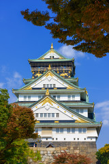 Obraz premium Osaka Castle