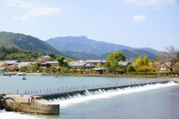 Obraz premium 桂川