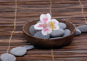 Fototapeta na wymiar gorgeous orchid with gray stones in wooden bowl on mat 