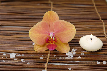 orchid with pile of salt  with candle and mat texture