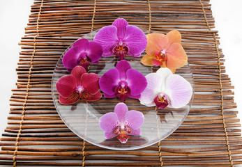colorful orchid in bowl and bamboo mat texture