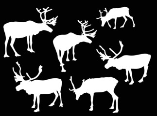 six isolated deer white silhouettes