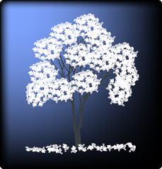 white blossoming tree on dark blue background