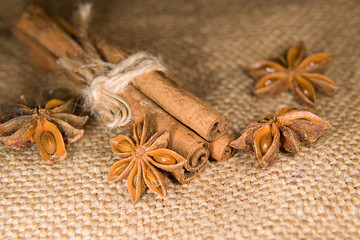 Star anise and cinnamon sticks on old cloth