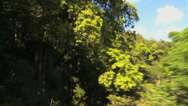 POV shot flying through the trees on a zip line