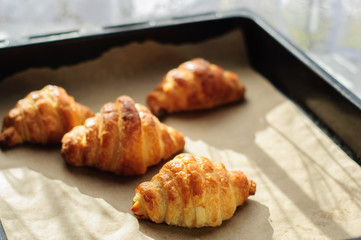 Fresh baked croissants on baking paper and oven-tray