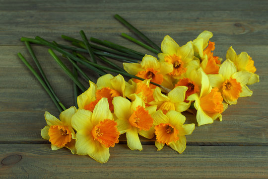 Fresh daffodils on a wooden background