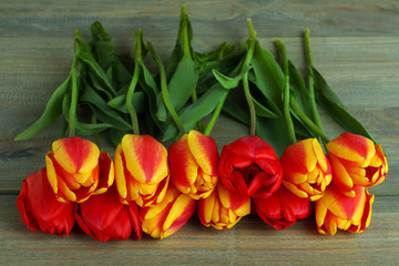 Fresh beautiful tulips on a wooden background