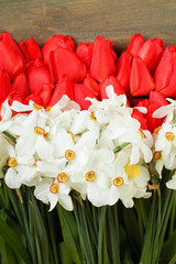 Daffodils and tulips on wooden background