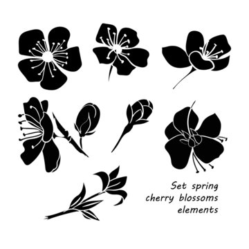 Set Of Black Silhouette Spring Cherry Blossom Flowers