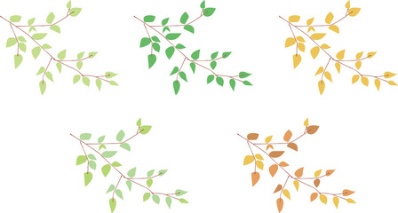 branches and leaves