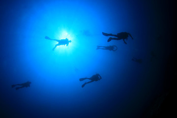 Scuba diving underwater: divers silhouette and sun
