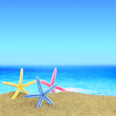 Fototapeta na wymiar Colorful starfishes on the beach in front of a blue horizon