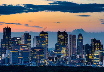 Beautiful Silhouette of Tokyo Skyline at Twilight