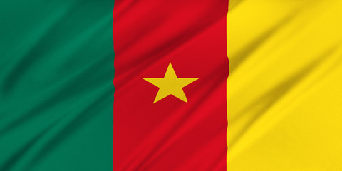Obraz premium Flag of Cameroon