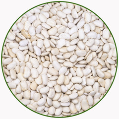 cannellini bean
