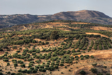 Naklejka premium Beautiful landscape at sunset