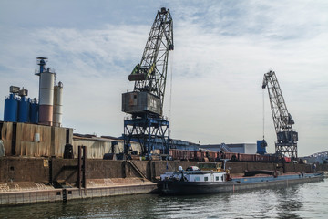 Fototapeta premium Cranes in the harbour of Duisburg - Germany
