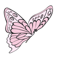 Pink butterfly isolated on white..