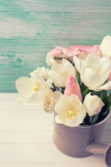 Background with fresh  tulips  and narcissus flowers