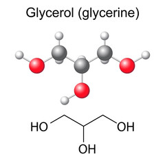 Structural chemical formula and model of glycerol molecule