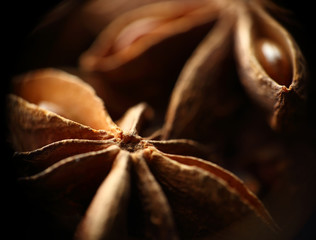 Star anise seeds. Macro. Blurred background