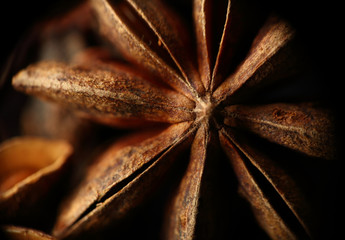 Star anise seed. Reverse side. Blurred background