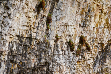 Paroi stratifiée (Savoie / Chartreuse)