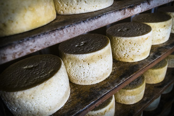 Cabrales cheese maker, at Sotres, Asturias, Spain
