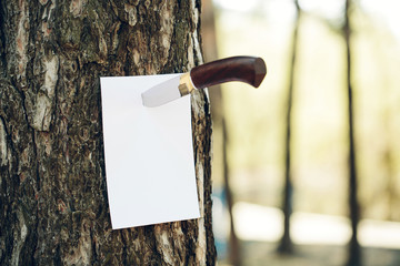 Empty paper stuck into a tree with a knife