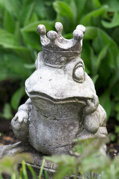 Froschk&ouml;nig
