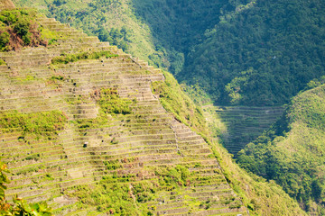 Rice terraces in the Philippines. Rice cultivation in the North