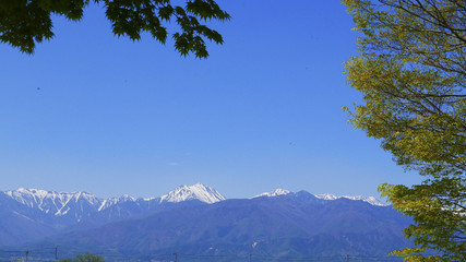 日本の春の風景