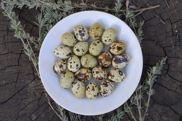  Перепелиные яйца