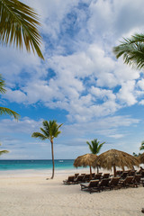 Palm and tropical beach in Tropical Paradise. Summertime holiday