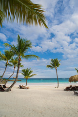 Palm and tropical beach in Tropical Paradise. Summertime holiday