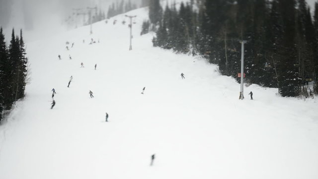 WS T/L HA Skiers on ski slope/ Little Cottonwood Canyon, Utah, USA