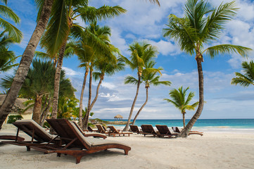 Obraz na płótnie Canvas Palm and tropical beach in Tropical Paradise. Summertime holiday